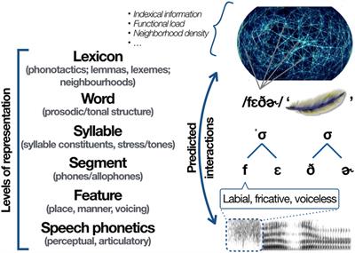 Language and Learner Specific Influences on the Emergence of Consonantal Place and Manner Features